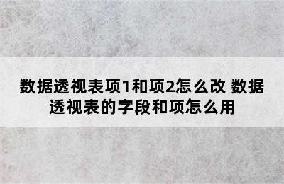 数据透视表项1和项2怎么改 数据透视表的字段和项怎么用